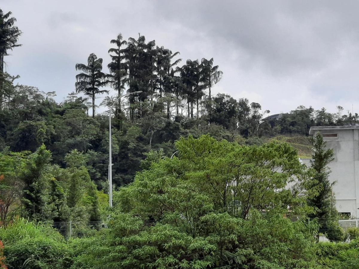 Lily Homestay Barrington Square Cameron Highlands. Бринчанг Екстериор снимка